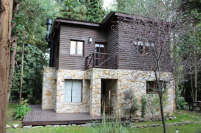 Cabañas Las Olivas